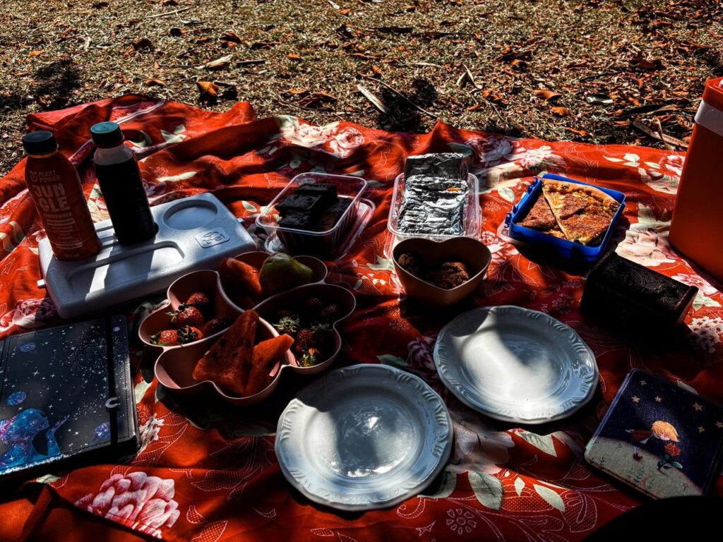 Picnic on the park