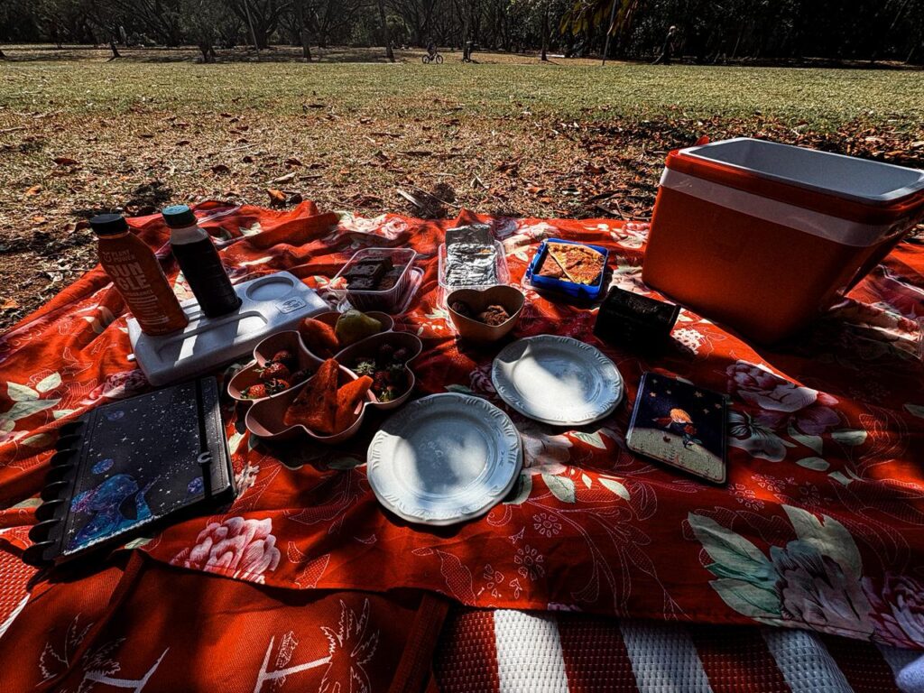 Picnic on the park