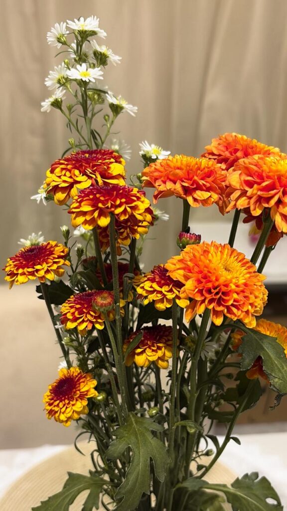 yellow flowers